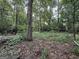 Lush wooded area with trees and natural ground cover, offering a natural landscape at 3205 Anneewakee Falls Pkwy, Douglasville, GA 30135