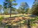 Picturesque view of a golf course with lush green fairways and mature trees at 6857 Louis Dr, Locust Grove, GA 30248