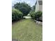 Green backyard and mature landscaping for a serene outdoor experience at 3381 Walkers Ridge Rd, Dacula, GA 30019