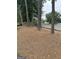 Backyard featuring mature trees and pine straw ground cover, enclosed by a wooden fence for added privacy at 3381 Walkers Ridge Rd, Dacula, GA 30019