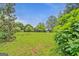 Large grassy backyard with mature trees and shrubbery, creating a private outdoor space at 4547 Atha Cir, Loganville, GA 30052