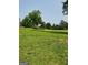 Expansive front yard featuring lush greenery and a well-maintained lawn at 619 E College St, Bowdon, GA 30108