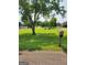 Lush front yard with shade trees and mailbox at 619 E College St, Bowdon, GA 30108