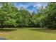Lush green lawn surrounded by mature trees, offering a tranquil and private setting at 1170 Peeksville Rd, Locust Grove, GA 30248