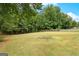 Expansive backyard enclosed by a wooden fence, offering ample green space for recreation and privacy at 355 Sturgess Run, Sharpsburg, GA 30277