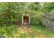 Shed surrounded by greenery at 195 Southmoor Cir, Stockbridge, GA 30281
