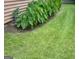 Well-maintained landscaping with elephant ear plants adds a touch of natural beauty to the property at 6884 Shangrila Way, Riverdale, GA 30296
