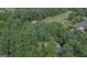 Lush, wooded lot backing to golf course provides beauty and privacy near the green at 307 Worthing Ln, Mcdonough, GA 30253