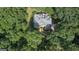 Aerial view of the secluded property surrounded by mature trees showing the driveway to the home at 307 Worthing Ln, Mcdonough, GA 30253