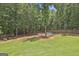 Expansive backyard with lush green lawn and a charming fire pit area for outdoor enjoyment at 33 Vinery Ct, Sharpsburg, GA 30277