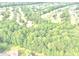 Aerial view of homes with lush trees, offering a private and serene neighborhood environment at 1132 Hargrove Ct, Locust Grove, GA 30248