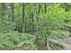 Lush backyard featuring mature trees, vibrant greenery, and a sense of privacy in a wooded setting at 505 Bracken Edge, Peachtree City, GA 30269