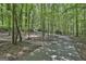 Scenic paved driveway lined with mature trees creating a private, shaded entrance to the property at 505 Bracken Edge, Peachtree City, GA 30269