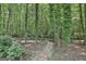 Secluded walking path through mature trees and shade with ground cover, lush landscaping and gravel at 505 Bracken Edge, Peachtree City, GA 30269