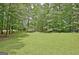 Large, grassy backyard surrounded by mature trees offers privacy and recreational opportunities at 501 Bridlepath Ln, Peachtree City, GA 30269