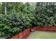 Well-maintained backyard with privacy fence, lush greenery, and a storage shed at 8035 Magnolia Way, Roswell, GA 30075