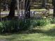 A well-maintained front yard featuring colorful Iris and blooming greenery at 1744 Campbell Rd, Covington, GA 30014