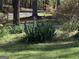Front yard featuring mature irises and blooming foliage at 1744 Campbell Rd, Covington, GA 30014