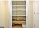 Basement closet with shelving, providing ample storage solutions in the home at 323 Newfield Way, Peachtree City, GA 30269