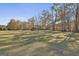 Large, well-maintained backyard with mature trees and a play set at 395 W Mcintosh Rd, Brooks, GA 30205