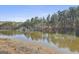 Scenic view of a calm pond surrounded by lush greenery and trees, offering a peaceful retreat at 395 W Mcintosh Rd, Brooks, GA 30205