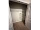 This walk-in closet features carpet and adjustable wire shelving at 442 Snow Owl Way, Lawrenceville, GA 30044