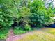 Natural wooded area showcasing lush greenery, mature trees, and undergrowth at 1183 Iron Gate Blvd, Jonesboro, GA 30238