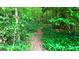 Secluded wooded path covered in greenery, perfect for nature lovers and peaceful strolls at 1183 Iron Gate Blvd, Jonesboro, GA 30238