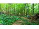Lush wooded area with dense ground cover, creating a natural and serene atmosphere at 1183 Iron Gate Blvd, Jonesboro, GA 30238