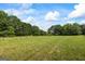 Large grassy field with lush tree line under a bright blue sky with scattered clouds at 98 Maddox Dr, Mcdonough, GA 30252