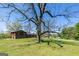 Well-manicured backyard with mature trees, offering privacy and scenic views at 1919 101 S Hwy, Temple, GA 30179