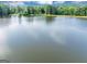 Expansive view of a serene lake surrounded by lush greenery and a clear blue sky on the horizon at 1625 Clark Lake Nw, Acworth, GA 30102