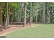 Backyard with mulch ground covering beneath the trees, adding texture and visual appeal to the outdoor space at 185 Newfield Dr, Tyrone, GA 30290