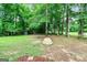 Spacious backyard with mature trees, playground, picnic table, and boulder at 135 Crimson Rdg, Tyrone, GA 30290