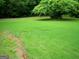 A big shade tree with lush green grass in the expansive backyard at 225 Long Creek Dr, Covington, GA 30016