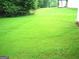 The beautiful grassy backyard offers plenty of space for outdoor activities and relaxation at 225 Long Creek Dr, Covington, GA 30016
