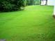 Expansive backyard featuring lush green grass at 225 Long Creek Dr, Covington, GA 30016
