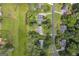 An aerial view of a neighborhood showcasing tree-lined streets and well-maintained green lawns at 557 Spring Creek Ne Way, Marietta, GA 30068
