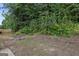Backyard view showing tree line, and outdoor area at 2137 Chadwick Sw Rd, Atlanta, GA 30331