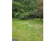 Large backyard with mature trees and lush green grass, perfect for outdoor activities and relaxation at 2670 Foxlair Trl, South Fulton, GA 30349