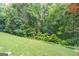 Lush green backyard with mature trees and landscaping, providing privacy and a peaceful setting at 370 Grand Teton Cir, Fayetteville, GA 30215