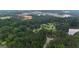 Scenic aerial view of a community with a tranquil lake surrounded by lush greenery at 190 Willow Lake Ln, Sharpsburg, GA 30277