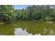 Scenic view of a tranquil lake surrounded by lush green trees at 190 Willow Lake Ln, Sharpsburg, GA 30277