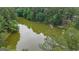 Scenic view of a tranquil lake surrounded by lush green trees at 190 Willow Lake Ln, Sharpsburg, GA 30277