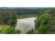 Scenic aerial view of a tranquil lake surrounded by lush greenery at 190 Willow Lake Ln, Sharpsburg, GA 30277