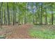 Secluded wooded area showcasing mature trees and natural landscaping, providing a peaceful retreat at 190 Willow Lake Ln, Sharpsburg, GA 30277