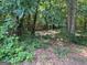 View of a wooded property covered with lots of green foliage and visible trees at 149 Titan Rd, Stockbridge, GA 30281