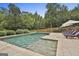 Backyard swimming pool with lounge chairs and greenery with a wooded view at 2975 Hickory Hill Rd, Brooks, GA 30205