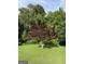 A beautiful backyard featuring a vibrant red maple tree and lush green lawn at 5225 Silhouette Sw Ln, Mableton, GA 30126