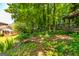 Secluded backyard featuring lush greenery, mature trees, and a charming swing for relaxing and enjoying nature at 306 Sandalin Ln, Peachtree City, GA 30269